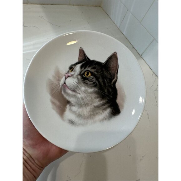 Schumann Arzberg Germany Bavaria Gray Cat Plate 7 1/4" Golden Crown E&R - Picture 3 of 8